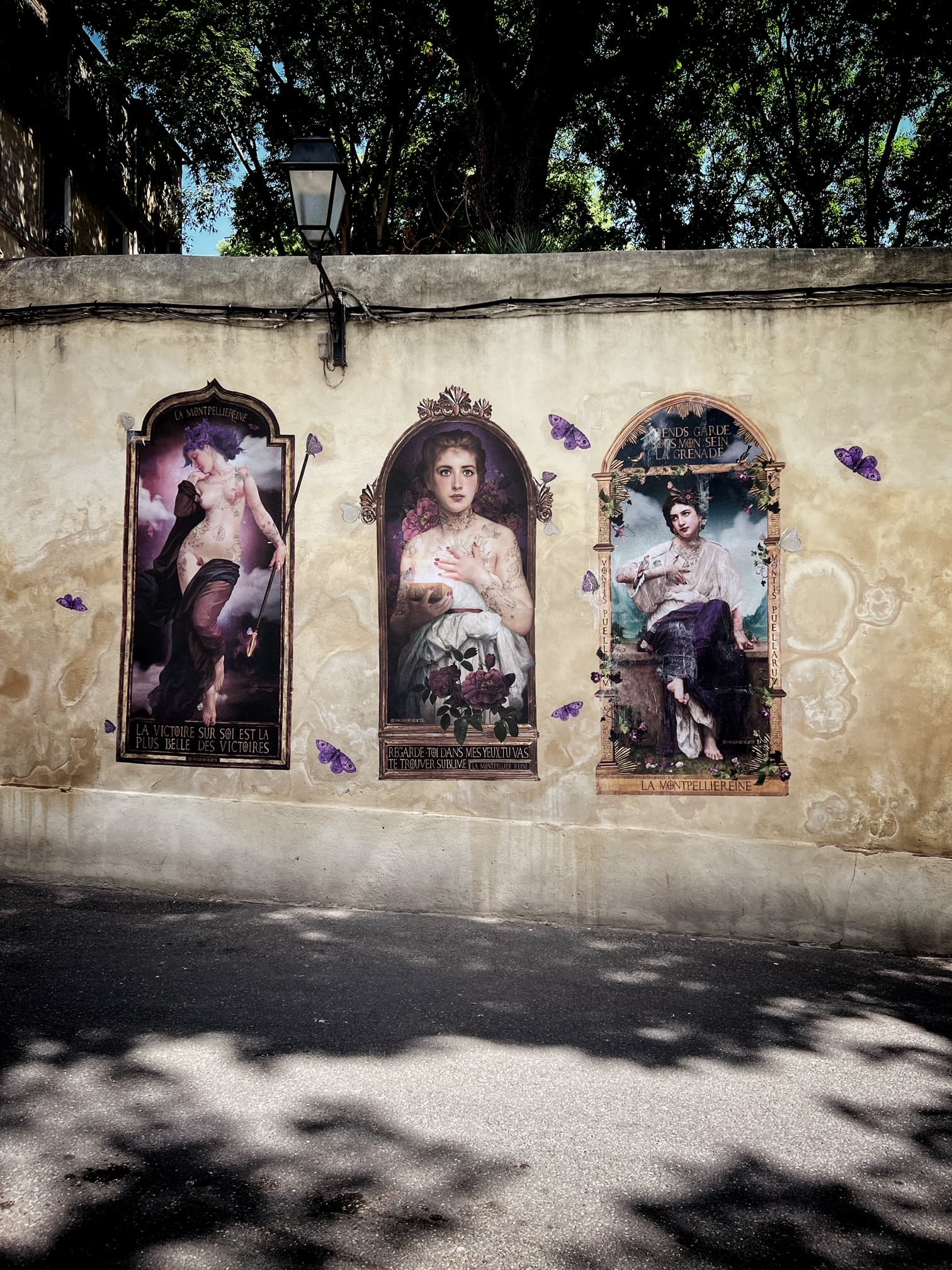 Montpellier Reine — 1/3