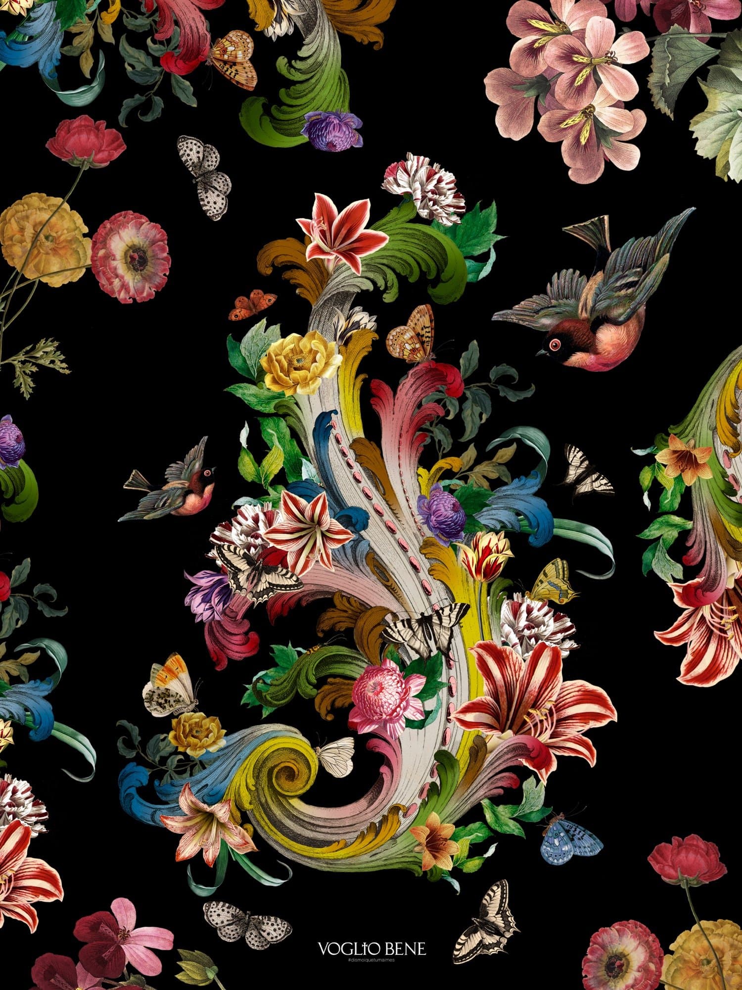 FLEURS DE ROCAILLE