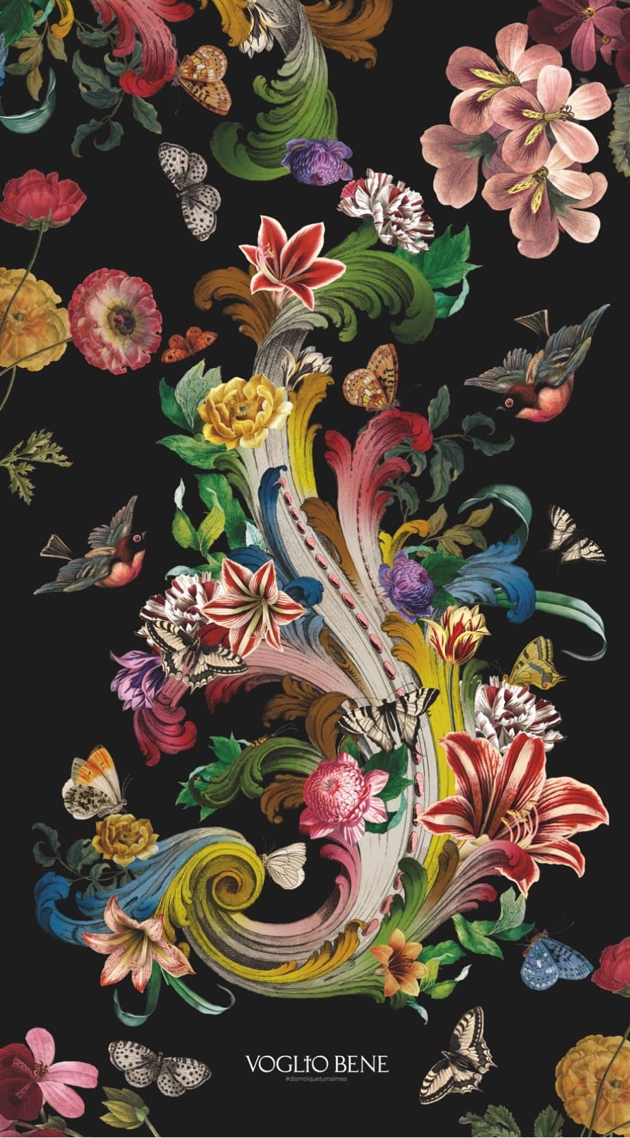 FLEURS DE ROCAILLE