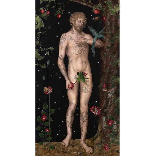 Bâche pvc Adam · 80 × 140 cm · Extérieur