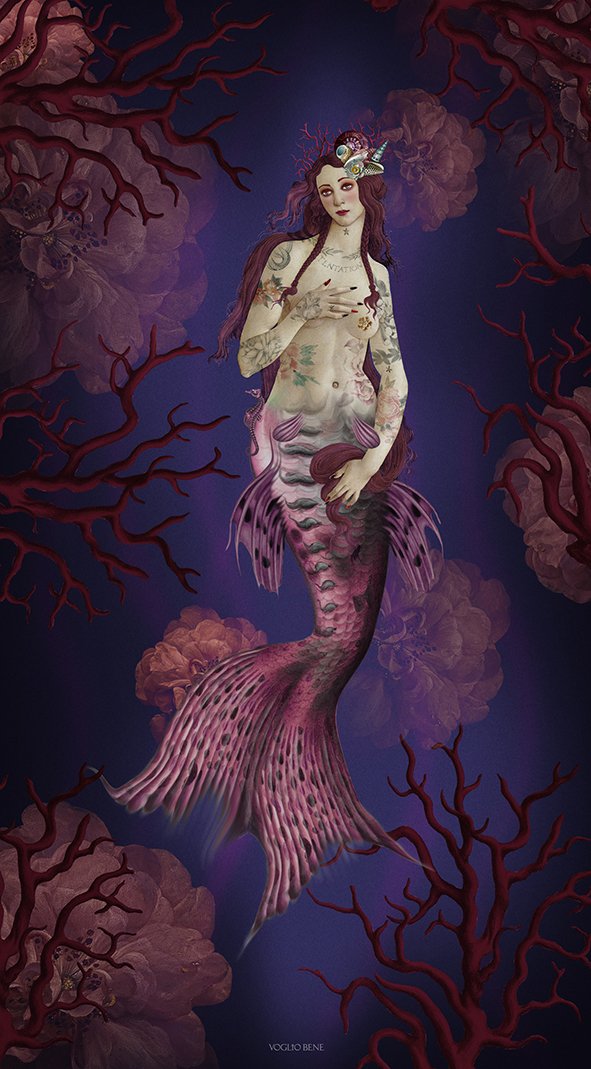TENTURE 250 LIGIE LA SIRENE